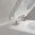 Villeroy & Boch Antao Унитаз с открытым смывным краем, настенный, смыв TwistFlush, Stone White (Белый матовый) CeramicPlus, без сиденья 4674T0RW